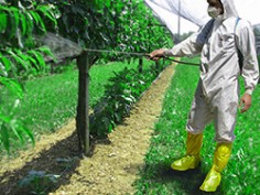 protective shoe covers